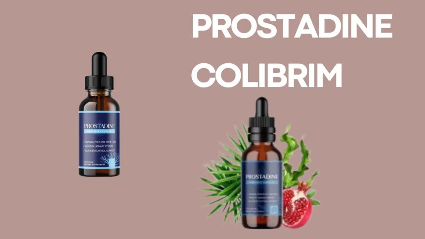 prostadine colibrim
